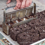 How to Make 2″ Soil Blocks