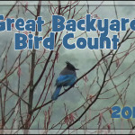2012 Great Backyard Bird Count