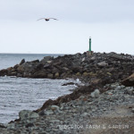 31 Days in Oregon: Barview Jetty