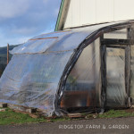 Aquaponics Update – February 2016