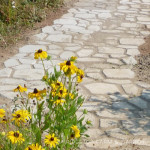 DIY Concrete Path