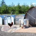 Mixed Material Coop Patio