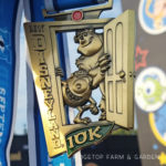 2017 Race Recap – Disneyland 10K