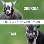 2018 Georgia & Tam Breeding