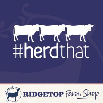 Ridgetop Farm Shop | Cow Herd That Vinyl Decal