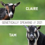 2021 Claire & Tam Breeding