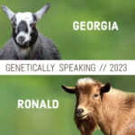 2023 Georgia & Ronald Breeding
